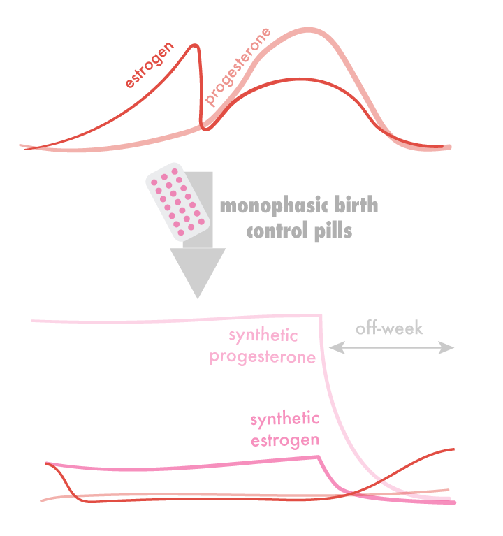 image-1.1-monophasic-graph