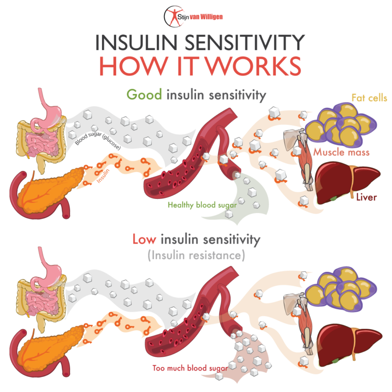 What Is Insulin Sensitivity And Resistance?