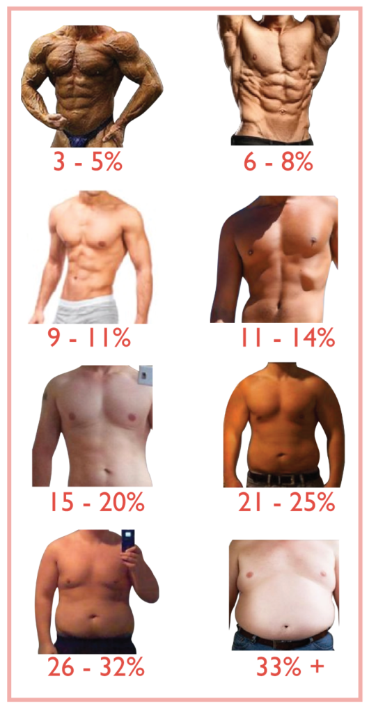 the-ideal-body-fat-percentage-to-bulk