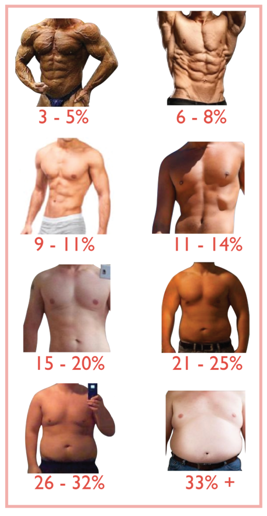 The Ideal Body Fat Percentage To Bulk