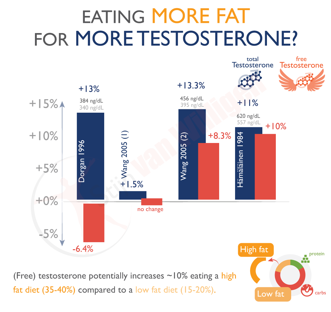 img-more-fat-more-testosterone
