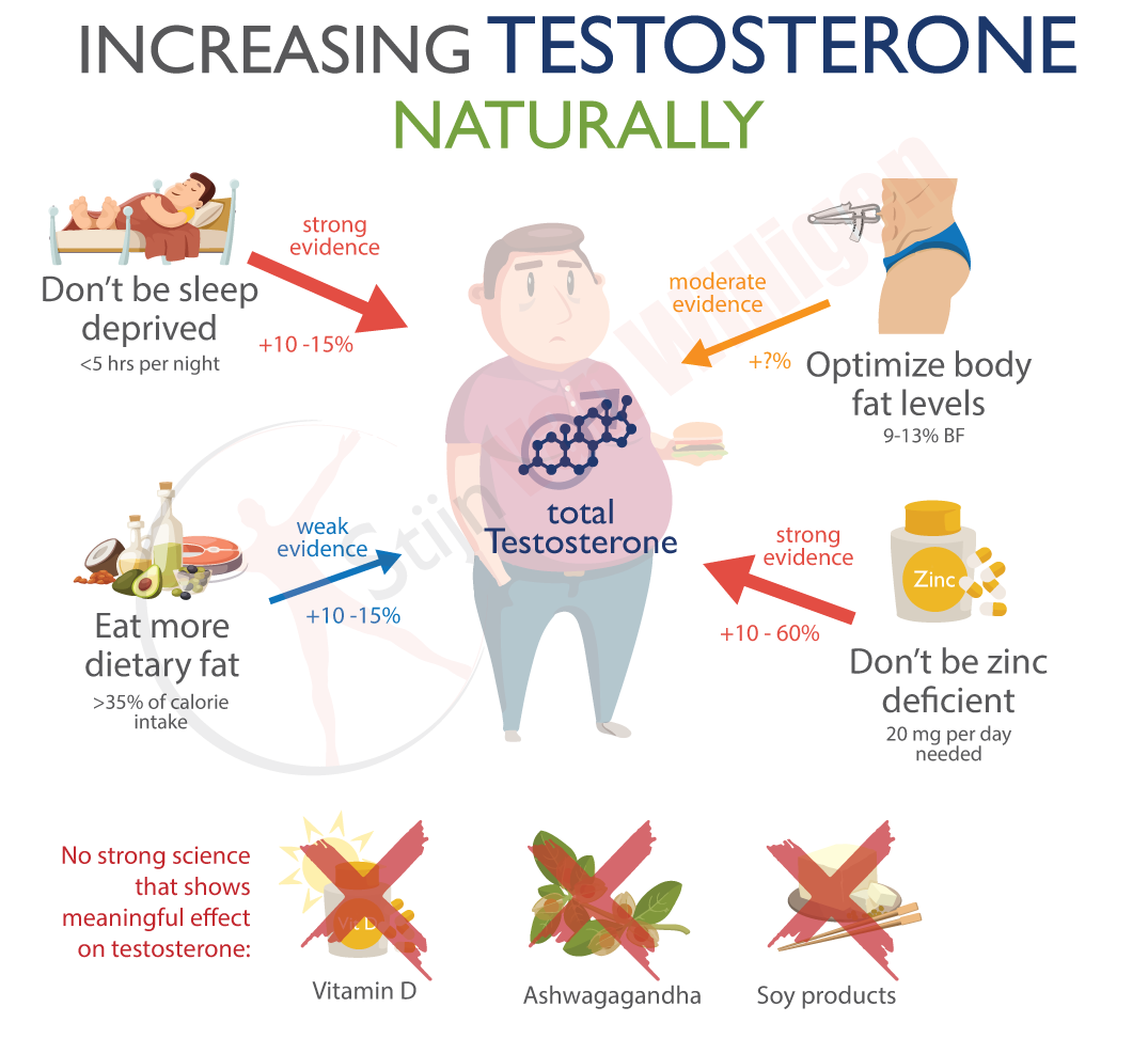 img-factors-that-increase-testosterone