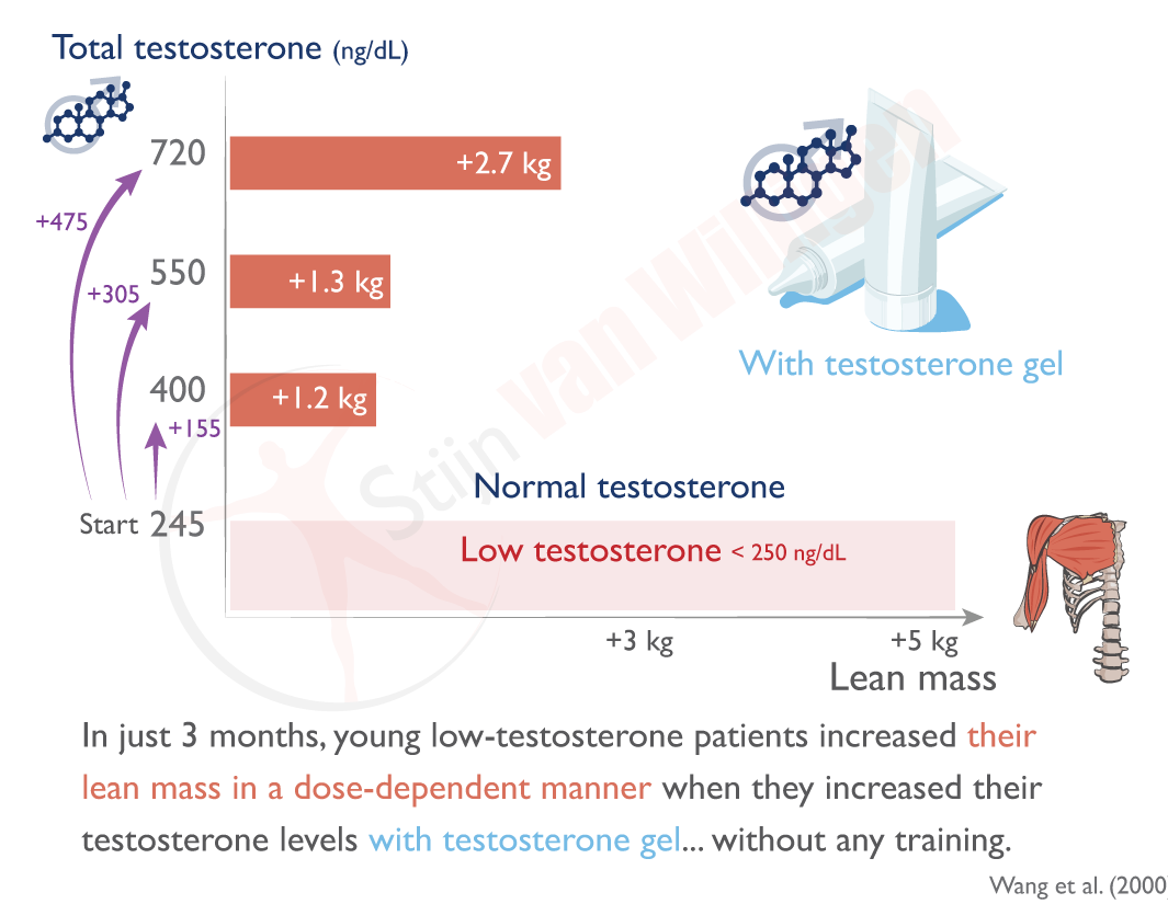 img-modest-gel-increase-testosterone
