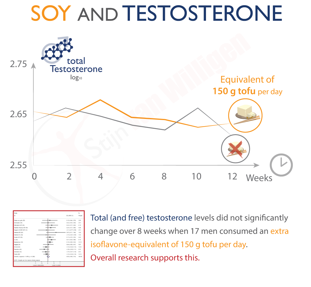 img-soy-testosterone-relationship